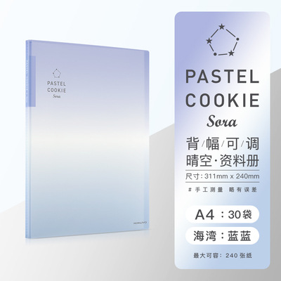 Libro DE DATOS KOKUYO color claro galleta cielo claro serie A4 inserto transparente 40 páginas