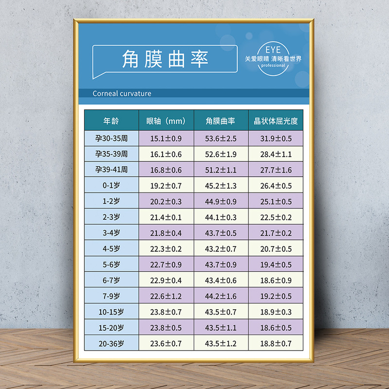 眼鏡店の壁面装飾画眼科病院は目の構造を描いています。|undefined