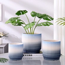 �Wʽ��̖�m�������մɻ�����û�Ƥ�m���Զ���ޥ�m��������m��