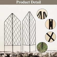 ���ۯB�F���W�����ټܣ��Fˇ����ֲ�������ܣ��S�ϼ�