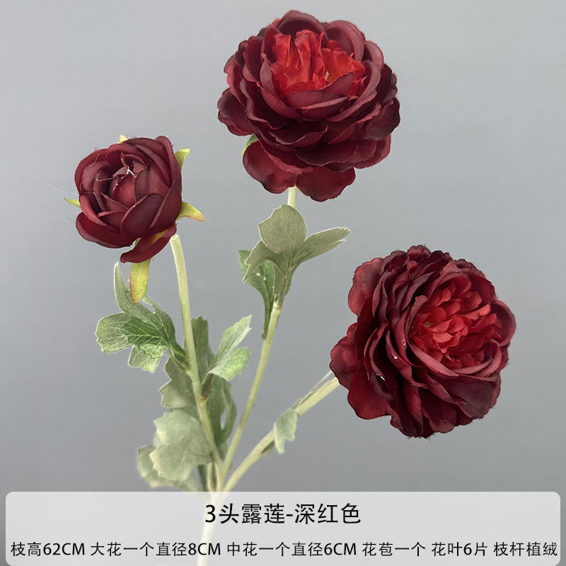 3 헤드 루 리안-다크 레드