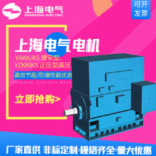 上海电气集团上海电机厂电动机YAKK/KS增安YZKKIKS正压型高压电机