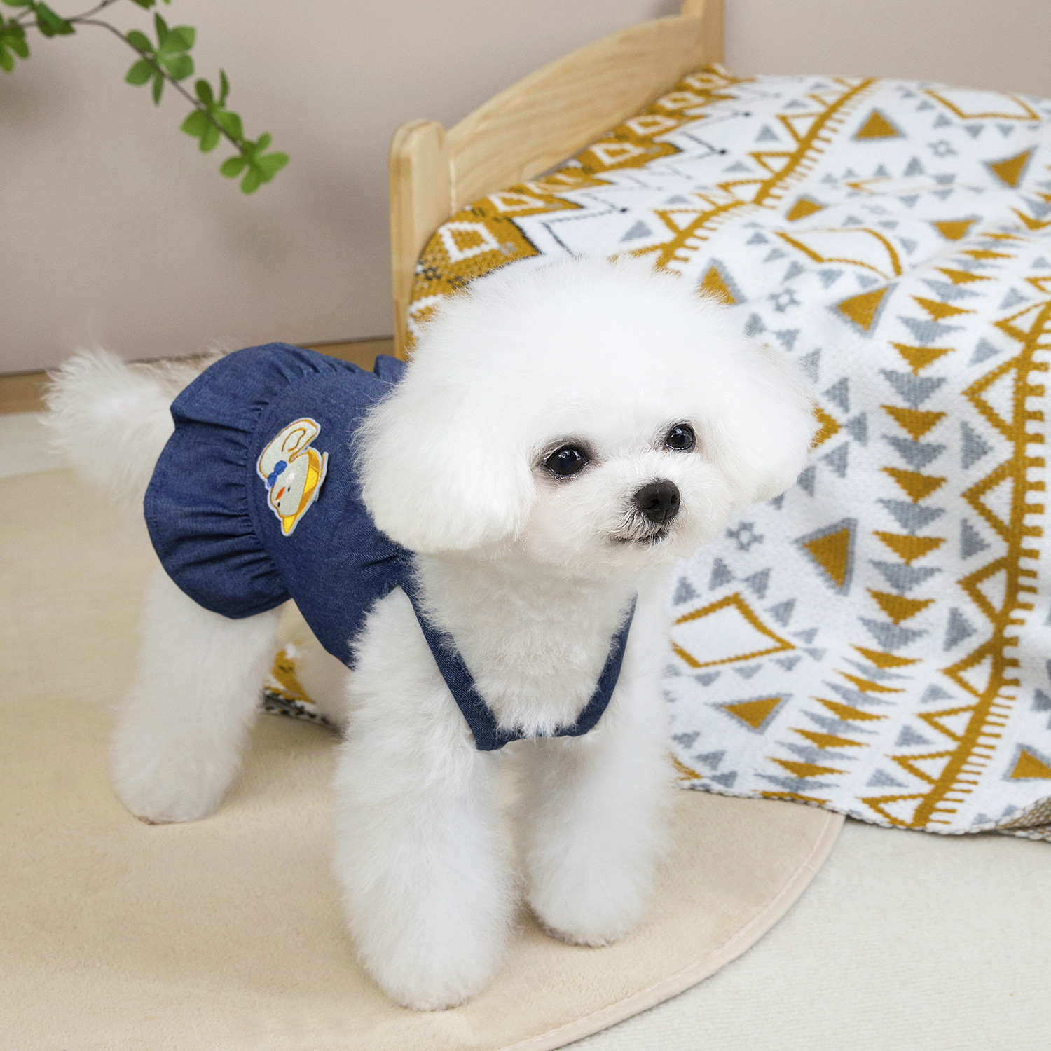 Denim prinsessklänning för små hundar som teddy och bichon_voghion.com