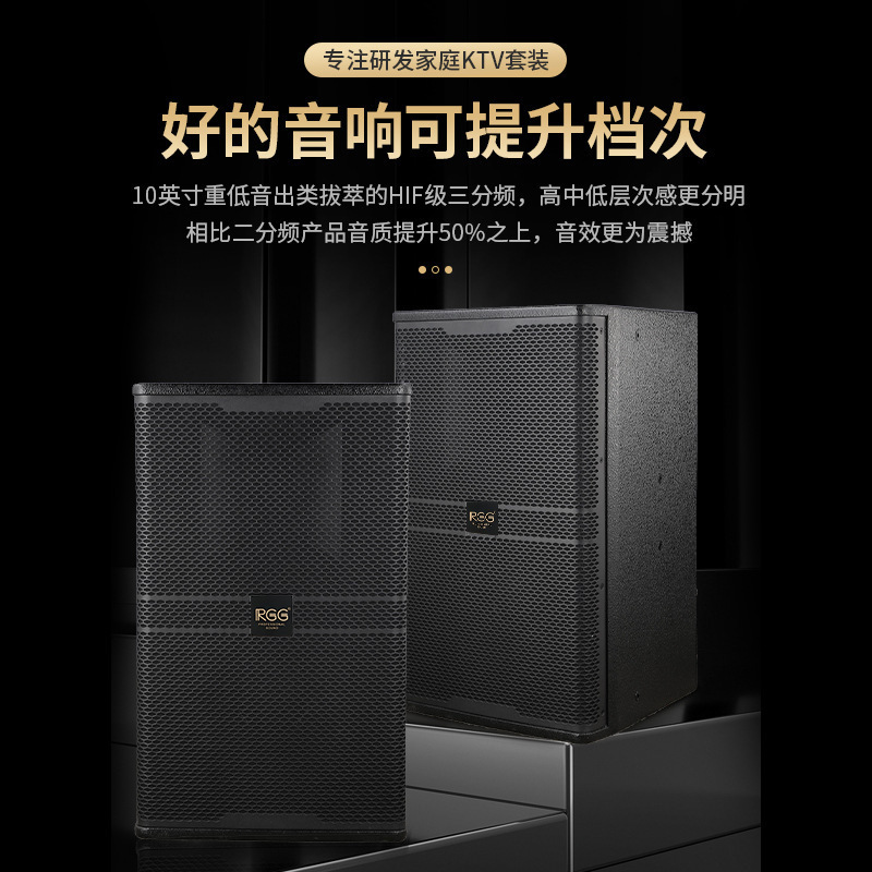 Equipo de Audio KTV de 12 Pulgadas, Subwoofer, Máquina de Karaoke Todo en Uno, Equipo de Audio KTV Profesional Comercial, Juego Completo de Fábrica