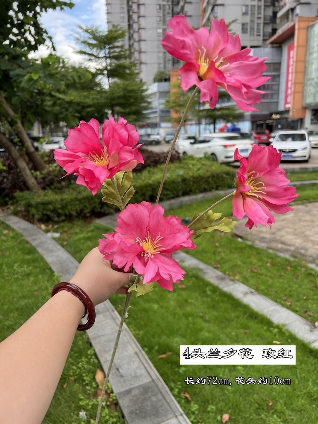 微信图片_20220813110220_副本