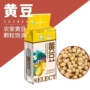 发芽定制大量豆浆黄大豆