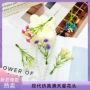 家居多头头饰千里香假花