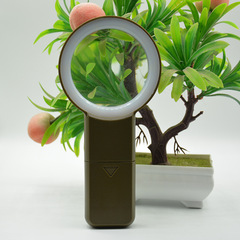 Handheld 10 LED Light Elderly Reading and Appreciation 75mm 5x Magnifying Glass with High-Definition Glass Lens Gift Box with Color Box