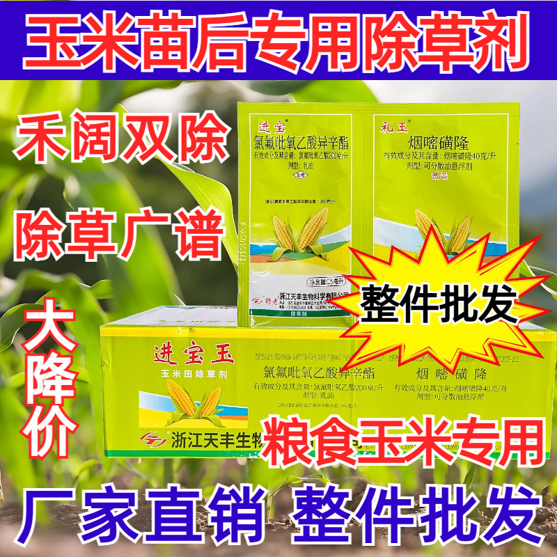 农药厂家供应礼玉玉米苗后除草剂杀草封地烟嘧磺隆整箱批发
