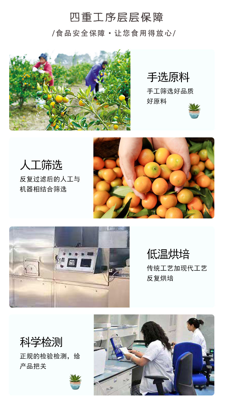 Dried Kumquat Slices Jin Ju Gan Freeze Dried Fruit Tea 50g Sugar Free Herbal Wellness Tea quality and texture
