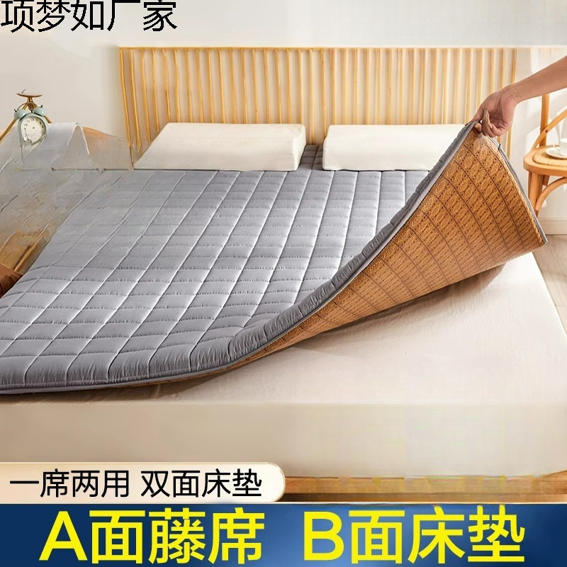 Tatami Summer Ice Silk Mat Mattress Soft Cushion Student Dormitory Single Winter and Summer Dual-Use Folding Thin Wall