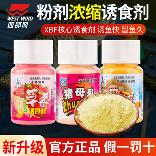 ��ݮ�Tʳ���iĸ�鵰�̾�������Ұ��a�����cǧ�����Tʳ�����ӄ�