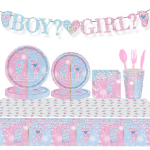 新款宝宝性别派对装饰男孩女孩揭秘纸盘桌布餐具套装场地布置用品