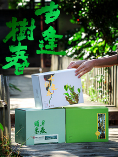 �ն��贺����b���^���^��ɢ��ë�ϰ��һ���b���㼈�пպ��Ӷ�
