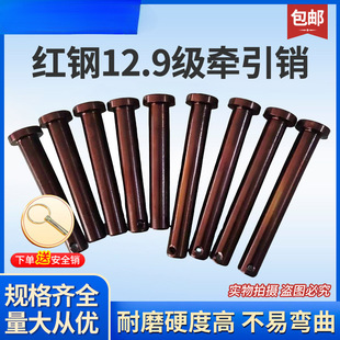 �N��12.9���t䓑Ғ��N�S�����Cƽ�^�����C���N�̶������N