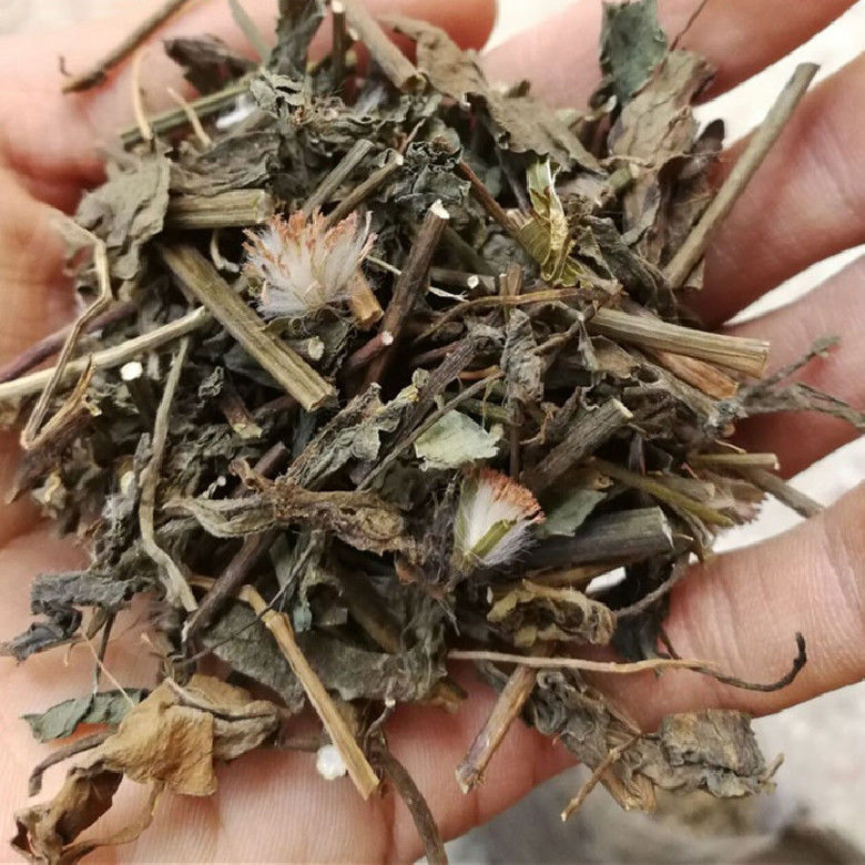 Yidianhong Emilia Herb 500g Dried Slices Traditional Chinese Herbal Tea and Decoction Ingredient preparation