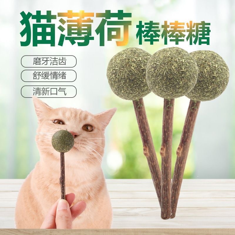 애완 동물 고양이 장난감 고양이 페퍼민트 롤리팝 폴리 곤 카파 고양이 그라인딩 스틱 바이트 장난감 연삭 치아 청소 용품