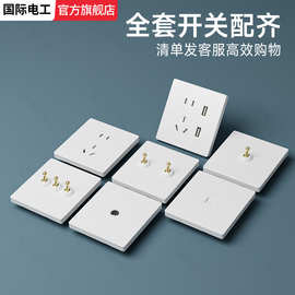 tep国际电工一开双控开关家用暗装插座面板工业风拨杆双联双控4开