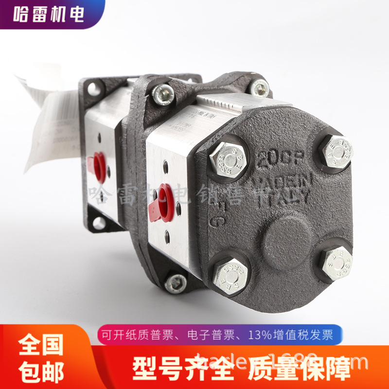 意大利MARZOCCHI马祖奇齿轮泵1P D 2.5 GAS ST