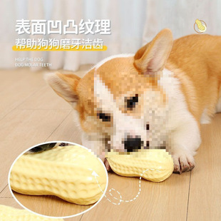 ������ߴ�����ҧĥ���ɐ۴�С���␞����˺����1��4����