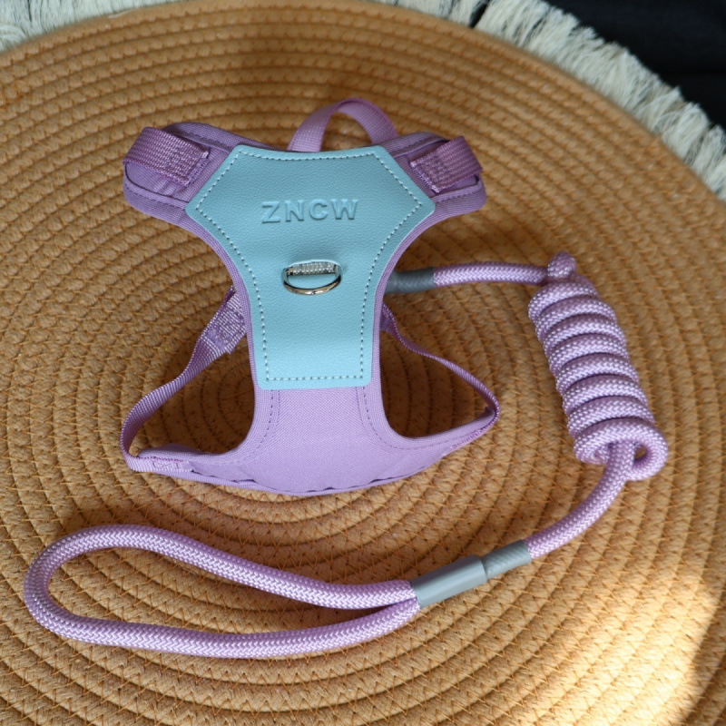 Schmutzabweisende Hundeleine, verstellbares Geschirr für kleine und mittlere Größen, atmungsaktives Seil, Weste für den Außenbereich_voghion.com