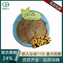 银杏黄酮24%/内酯6% 银杏叶提取物24-6 银杏叶粉厂家现货批发