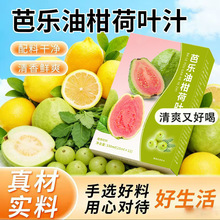 芭乐荷叶油柑汁源头工厂代发非浓缩台湾果蔬饮品植物油柑芭乐批发