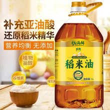 工厂直供稻米油江西米糠油一件代发批发大桶食用油5L家用植物油