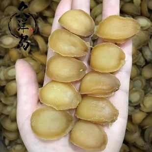 ���B���U�~���B�خa���r��؛�U�~���l��С�U�~��؛