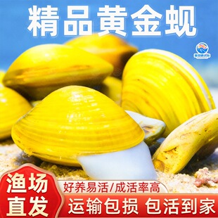 �S��͘��͘Ϫ͘С�Ӱ��S���ݳ��� �坍��ˮ�^�p �~�׳��~�S������