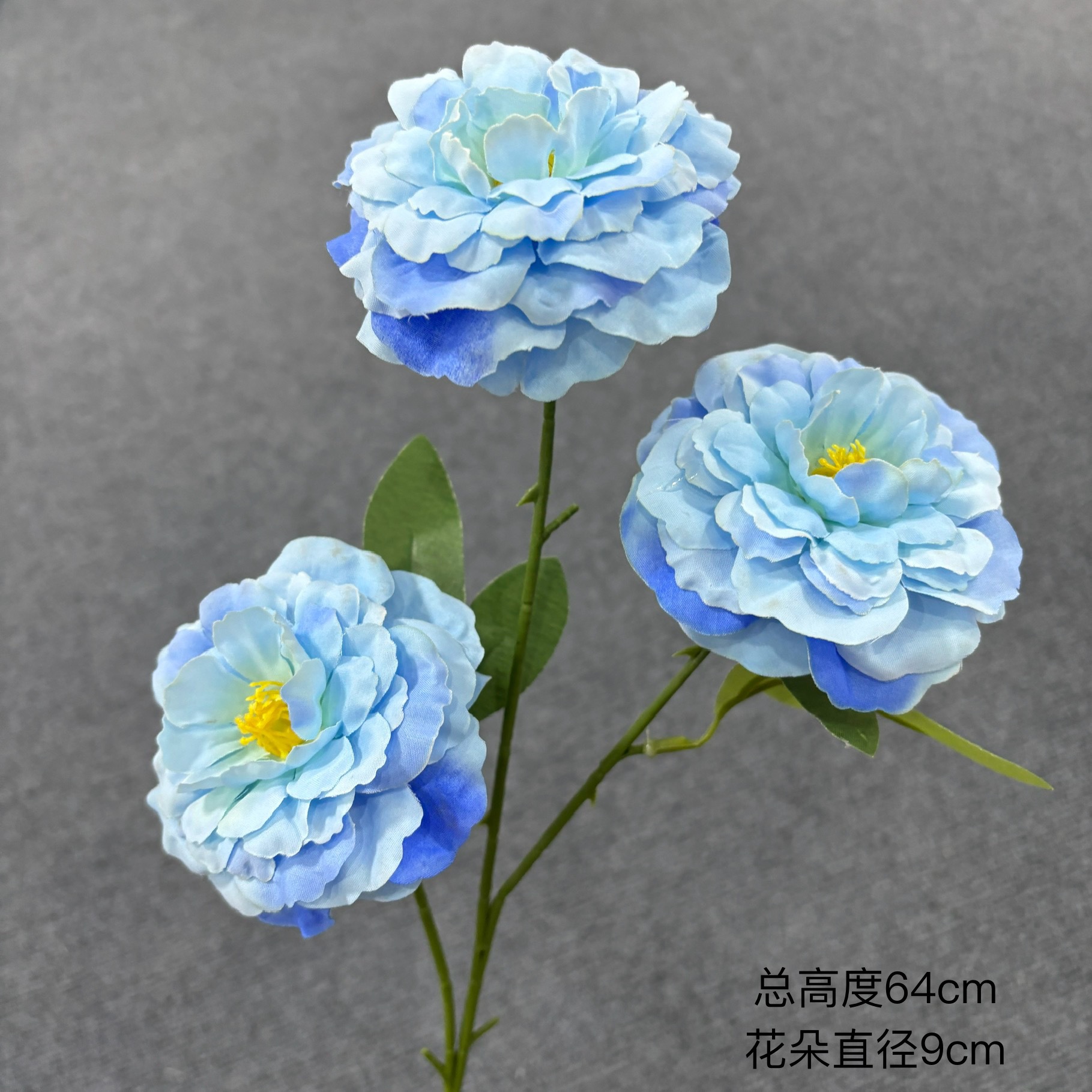 잉어 3마리