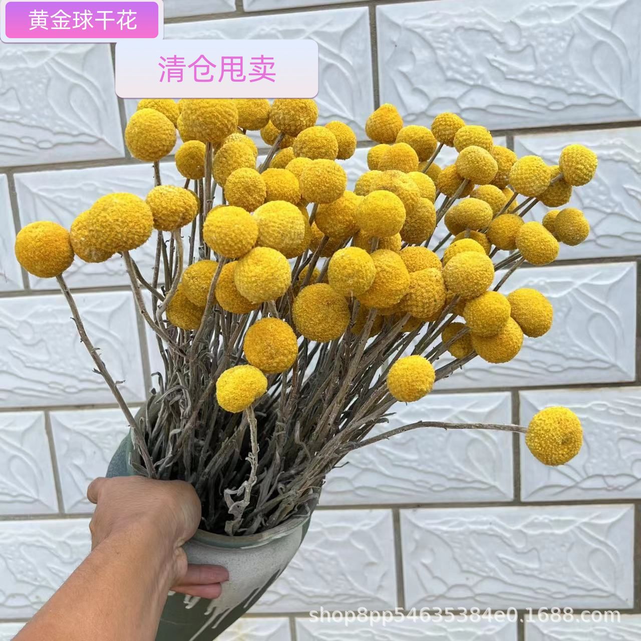 干花黄金球批发 云南干花黄金球 配花干黄金球真花装饰道具配材花