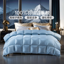 q߽qӼӺůqļ1.8׶񱻿о