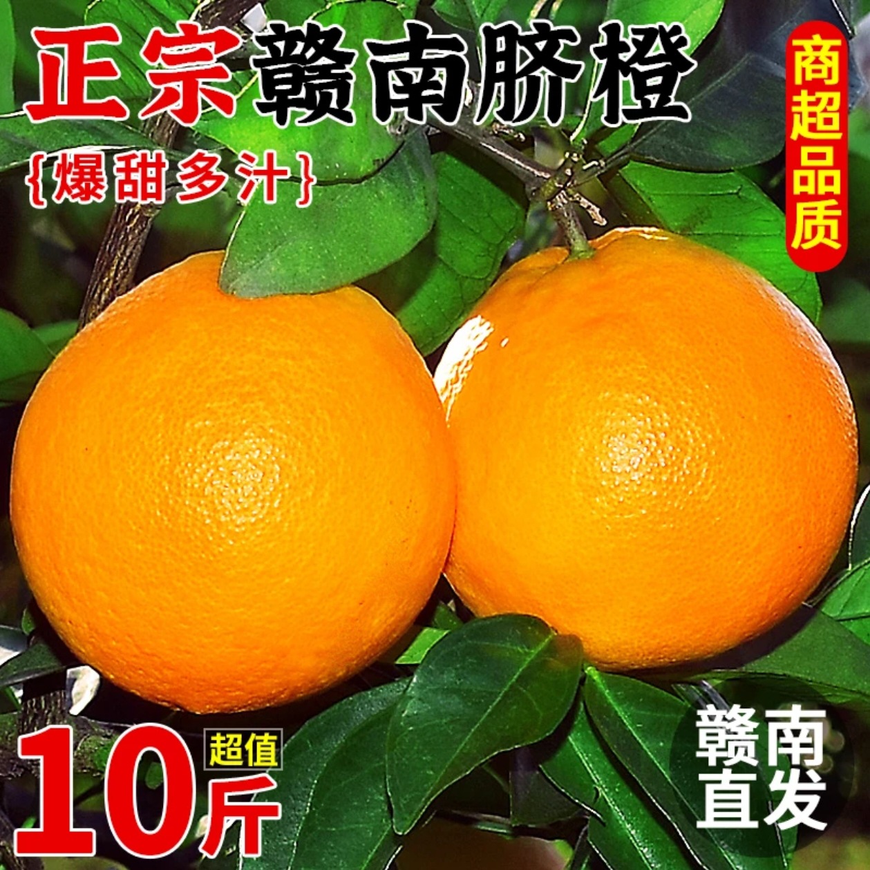 正宗赣南脐橙现摘现发新鲜水果皮薄香甜橙子产地直发整箱一件代发