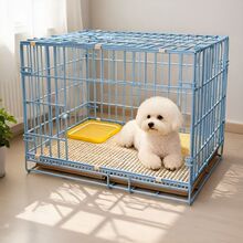 ���\��С��Ȯ�҃ȯB������̩�ϱ�������Ȯ�»�߅�������ù��C؈�\