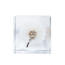 ͸ѹӢ˱Ƕ˱ֲ˹նYŮ