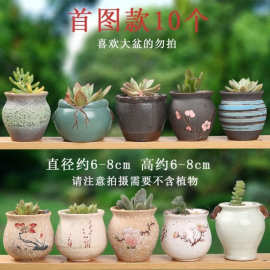 花盆陶瓷小号特价清仓拇指盆绿萝肉肉植物创意个性小多肉花盆批发