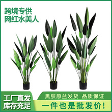 仿真綠植天堂鳥美人蕉盆栽 盆景源頭工廠造景植物仿真旅人蕉假樹