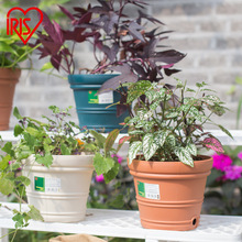 ����˼IRIS��֬͹�y�҃ȈA�λ����̨���@�¼���������ֲ��N����