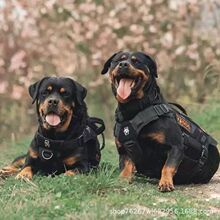 ���l���Ƶ�ϵ�_���{����Ȯ��Ȯ���w���������o�lȮ����Ȯ��������