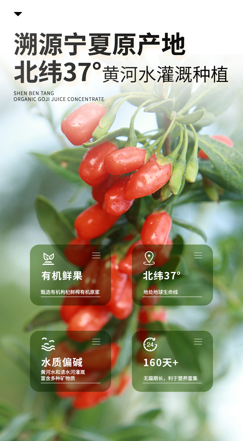Organic Goji Berry Fresh Fruit Puree 50ml x 10 Bottles Ningxia Wolfberry Drink quality and texture
