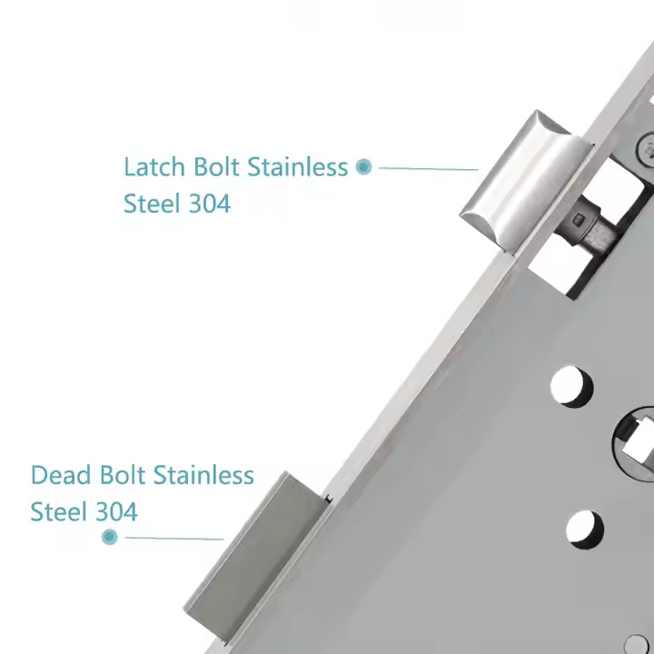 Cerradura de acero inoxidable estándar europeo de puerta de fuego personalizada 85 serie puerta médica doble lengua cerradura mecánica