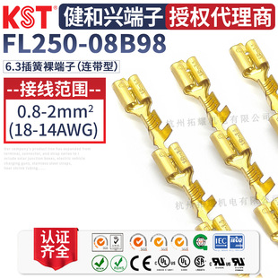 KST�����dFL250-08B98�B���� 6.3ĸ����B�@����K.S�B���� UL�J�C