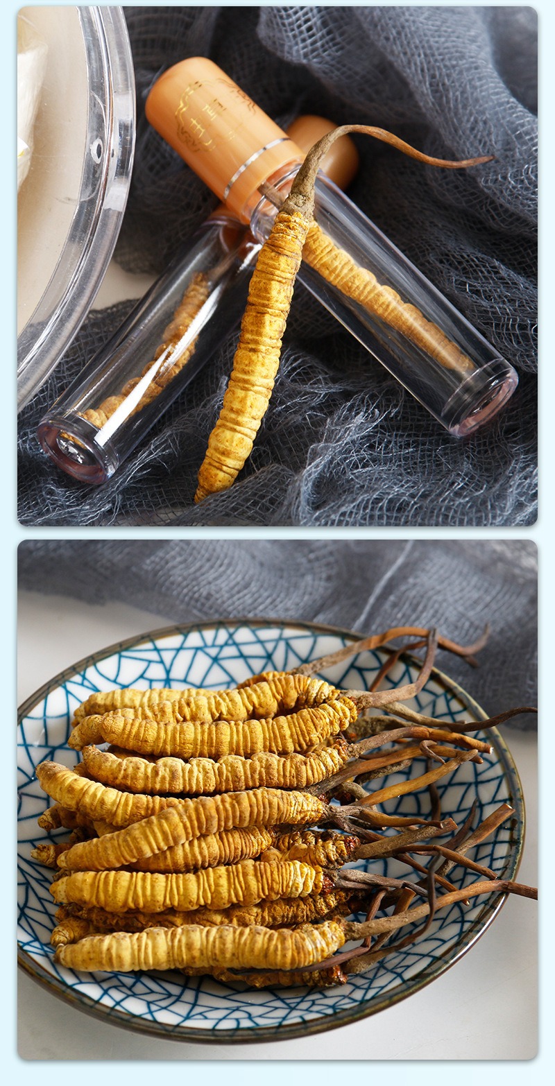 Dried Cordyceps Sinensis Dong Chong Xia Cao Whole Caterpillar Fungus Tibetan Nagqu Wild-Harvested Tonic Herb for Cooking and Decoction specifications
