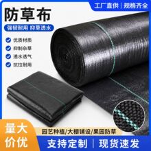 厂家直供加厚编织防草布 果园大棚园艺花卉种植地布 多规格可选