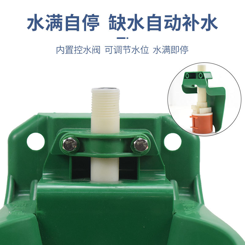 Cuenco para beber para ovejas, bebedero automático de plástico, alimentación para ovejas, cuenco para beber, fregadero para ovejas, equipo automático para beber para ovejas