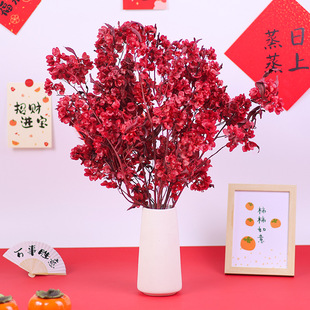 ӭ�Ͷ��������������ɻ��������ֹ��Y���Y�b��y���������b�