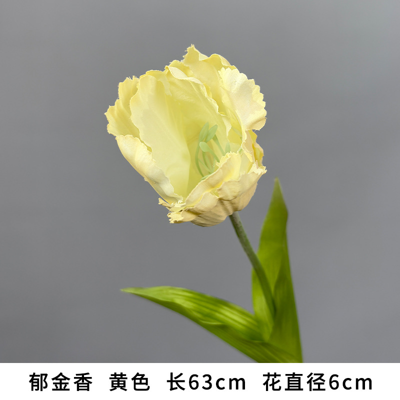 스프레이 컬러 튤립
