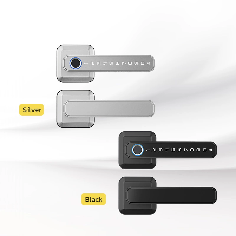 New home anti -theft door fingerprint lock electric graffiti indoor bedroom handle password lock Bluetooth through Bluetooth