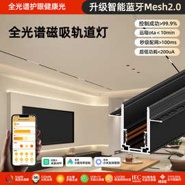 磁吸轨道灯嵌入式明装暗装家用无主灯客厅磁吸灯批发店铺展厅白色